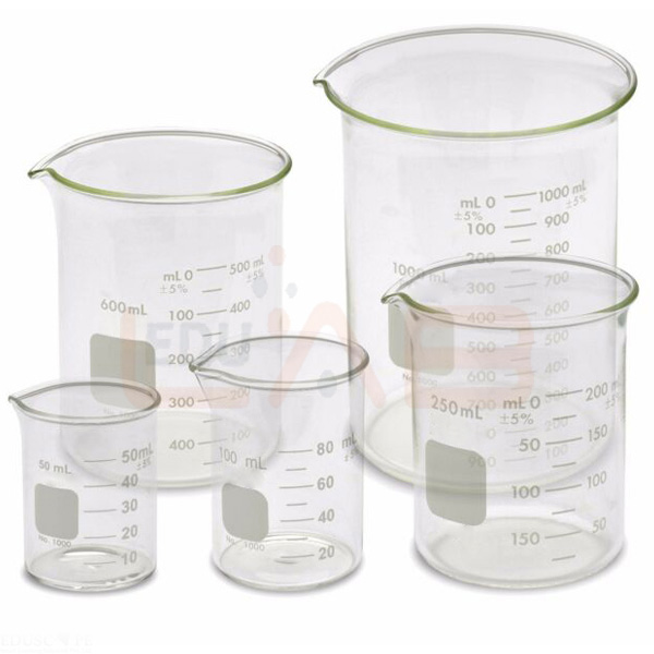 Glass Beaker Set of 5