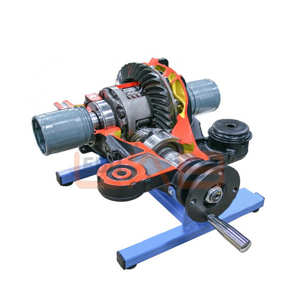 Working Model of Torsion Differential