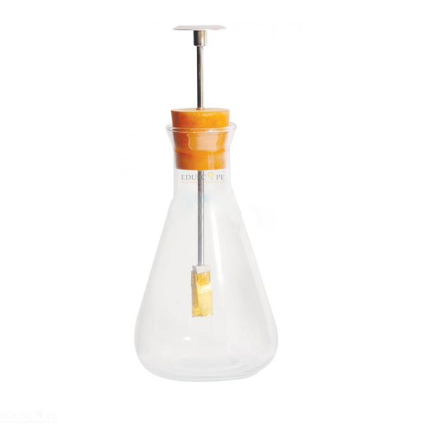 Electroscope in Flask Gold Leaf