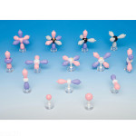 Atomic Orbital Set