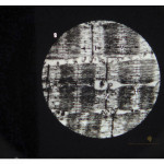 Ultra Structure of Animal Cells Microslide